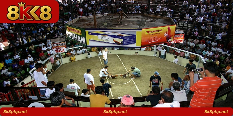 Battle Cock Arena