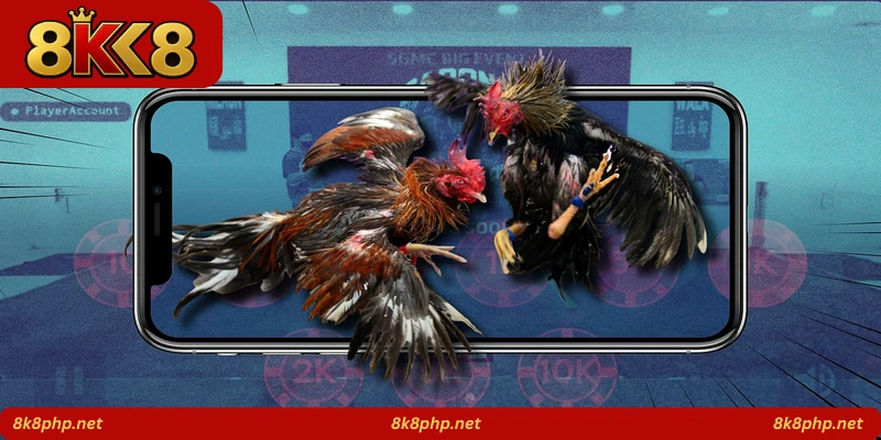 Iron Beak Fight