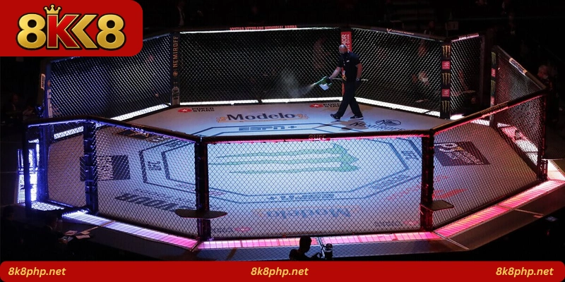 MMA Knockout Bet