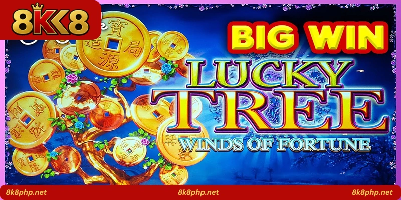 Money Tree Fortune