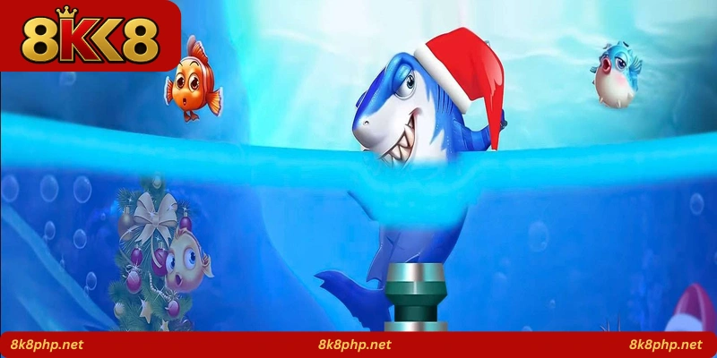 Shark Boom