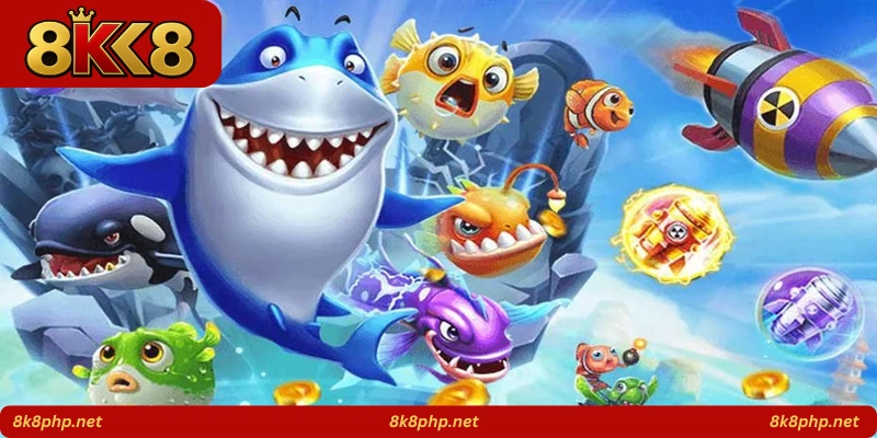 Shark Boom