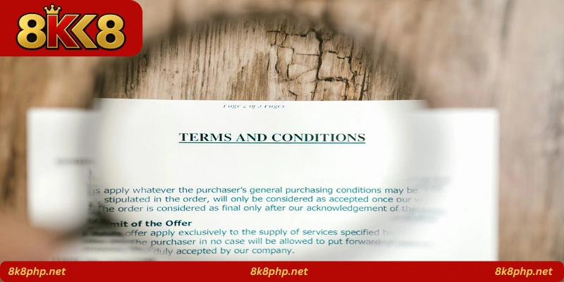 Terms and Conditions