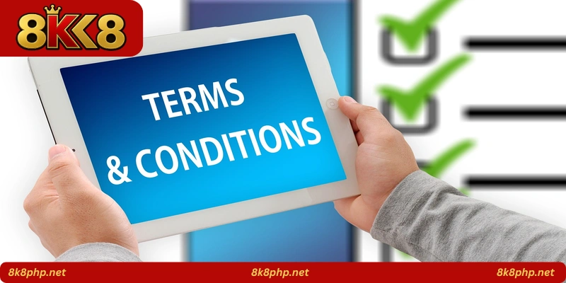 Terms and Conditions