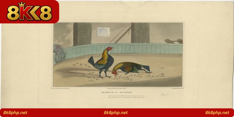 Victory Rooster