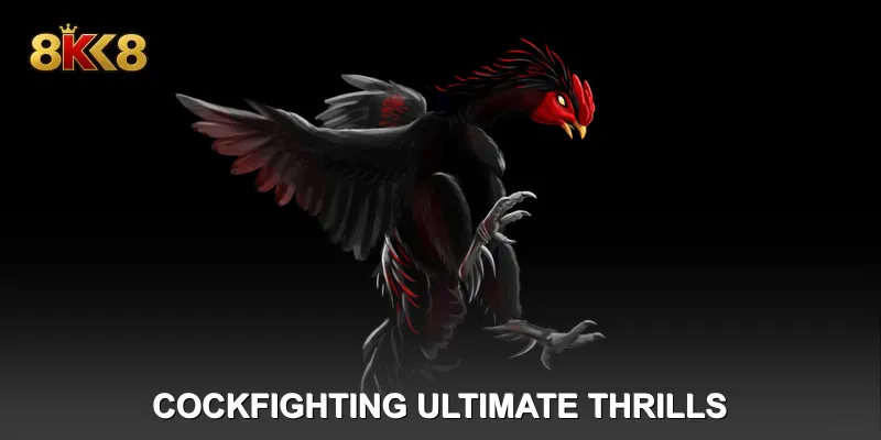 Cockfighting – Ultimate Thrills