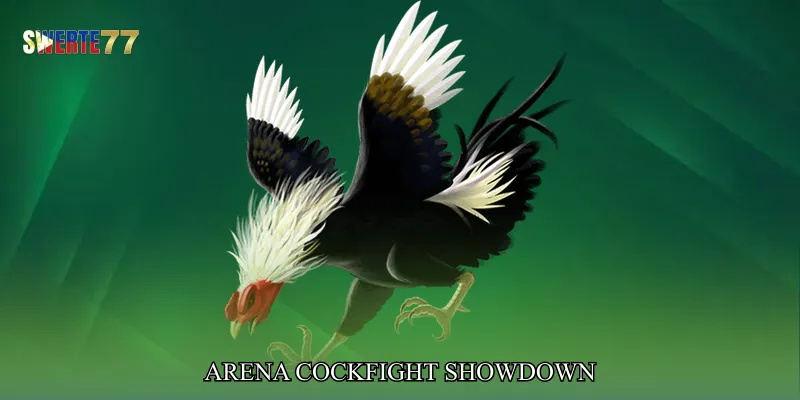Arena Cockfight Showdown