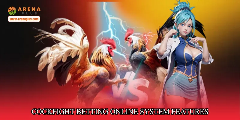 Cockfight betting online system features