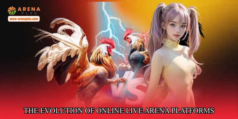 The evolution of online live arena platforms